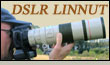 DSLR: digitaalinen järjestelmäkamera