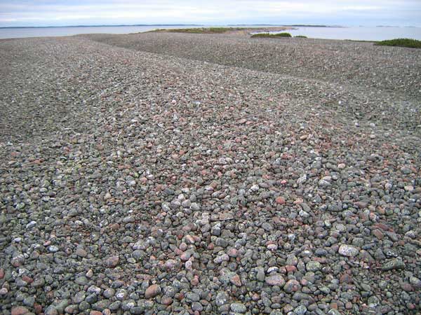 Kivikkoa