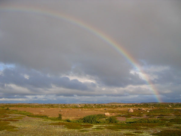 Rainbow