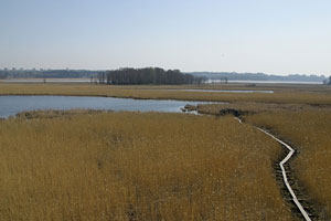 Lemmenlehto