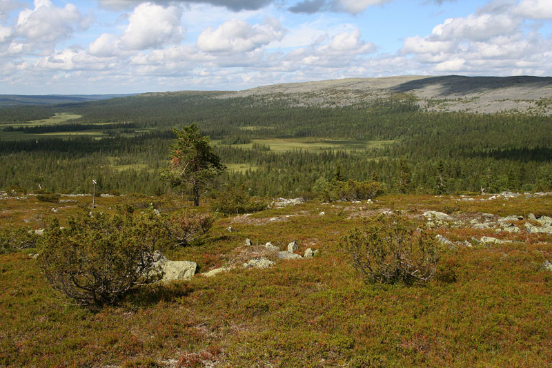 Aakenustunturi