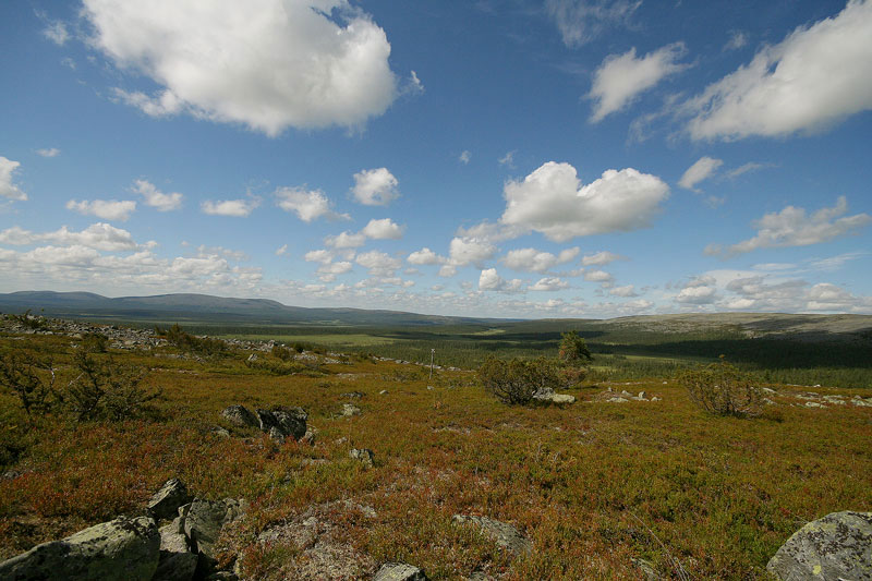 Aakenustunturi