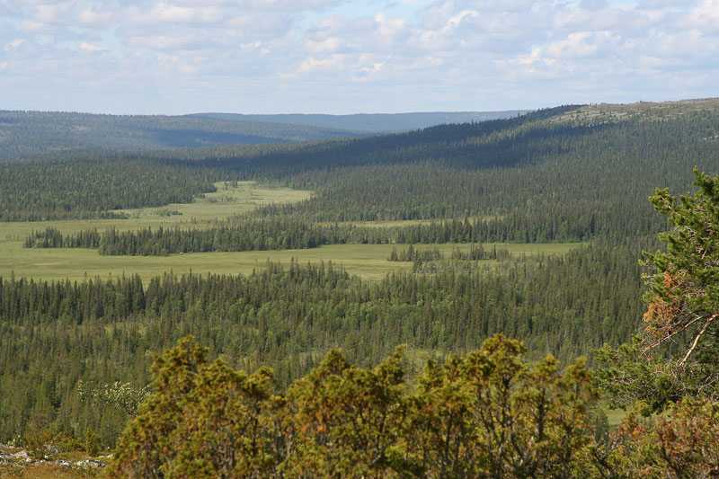 Aakenustunturi
