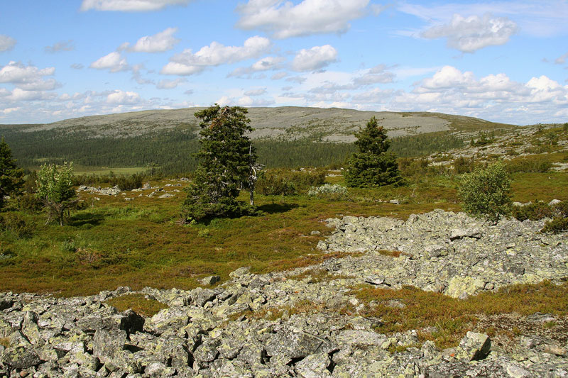 Aakenustunturi