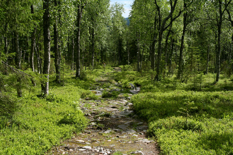 Aakenustunturi