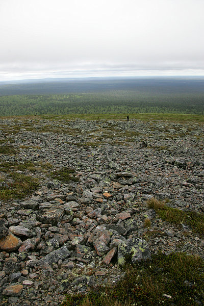 Rakka
