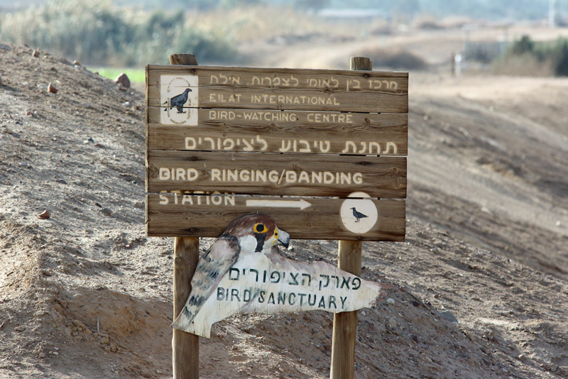 Israel, Eilat