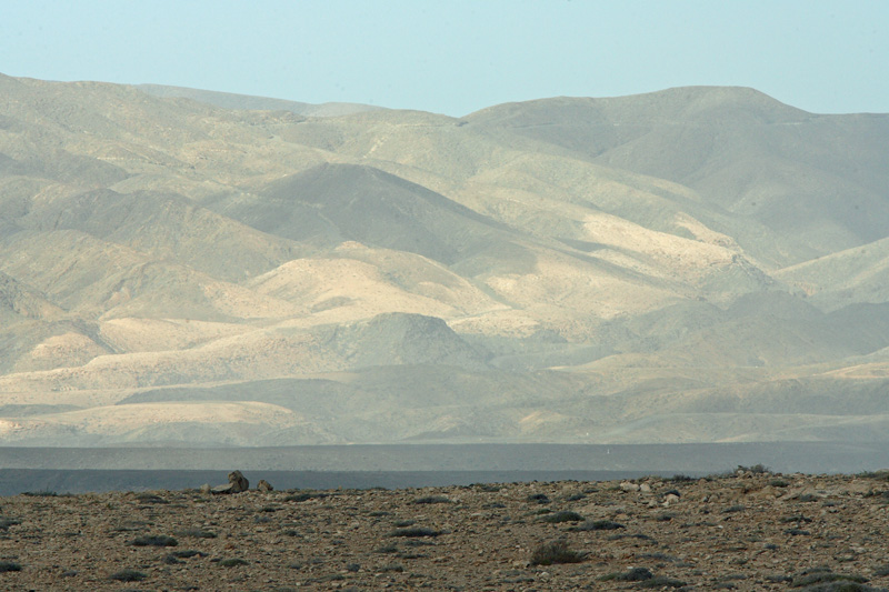 Fuerteventura