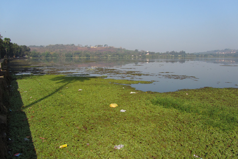 Goa
