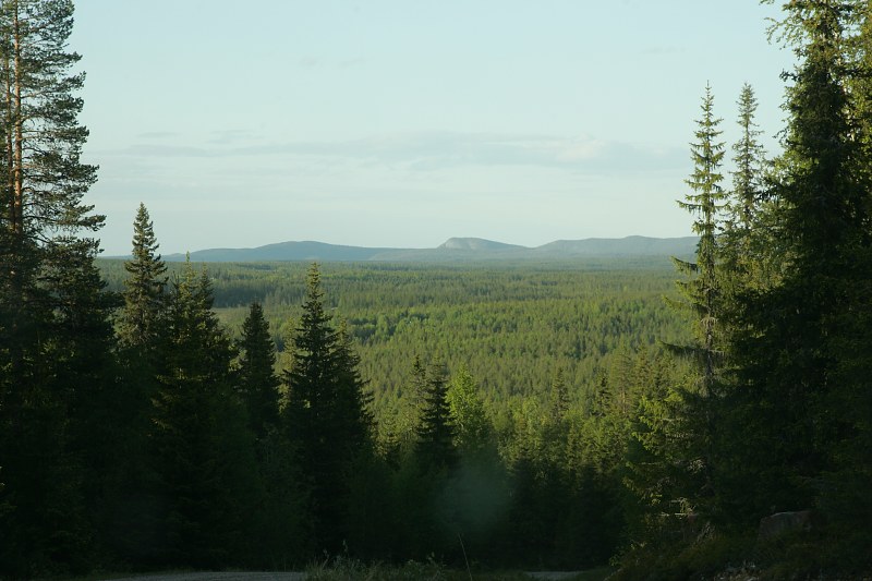 In the horizon