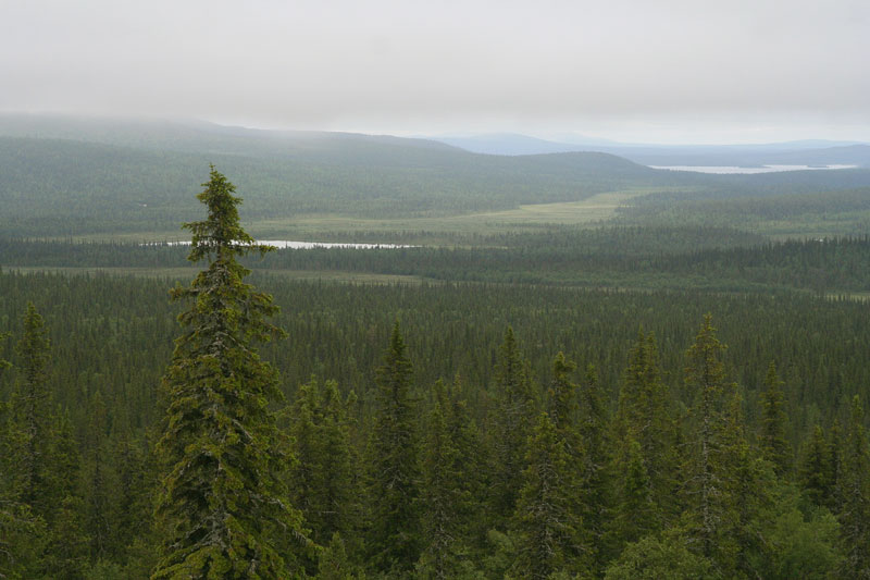 Pallastunturi