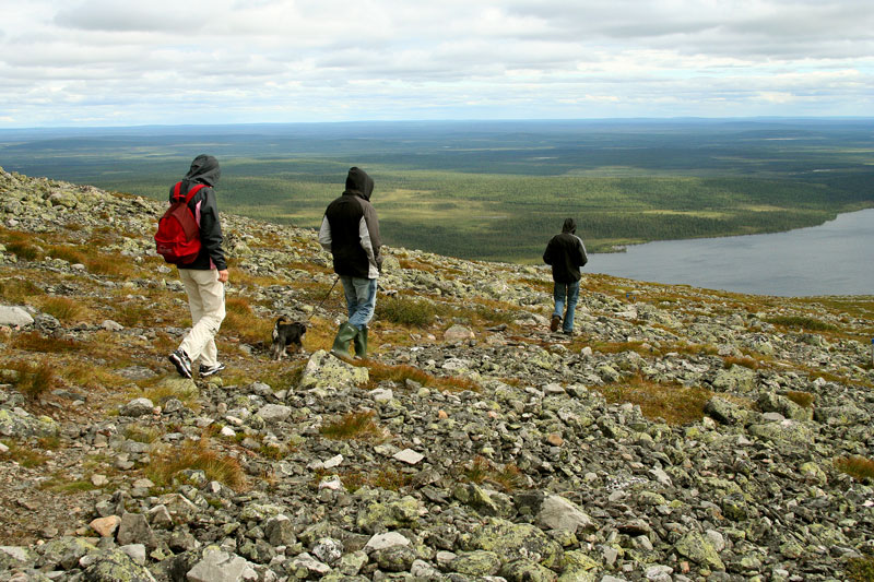 Pallastunturi