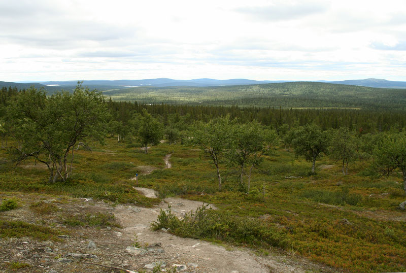 Pallastunturi