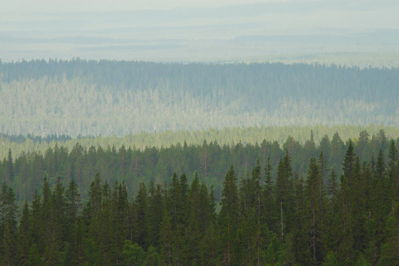 Pallastunturi