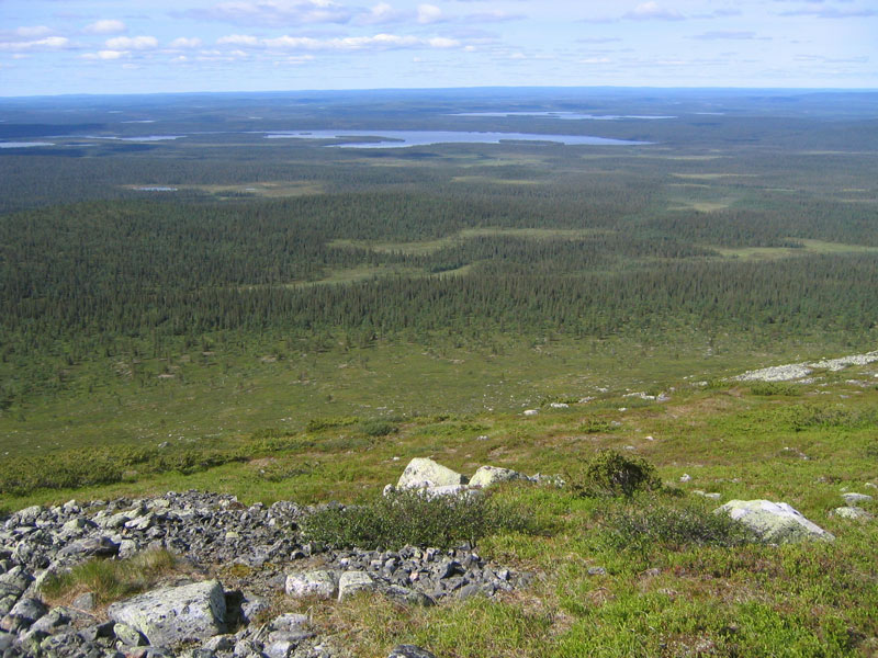 Pallastunturi