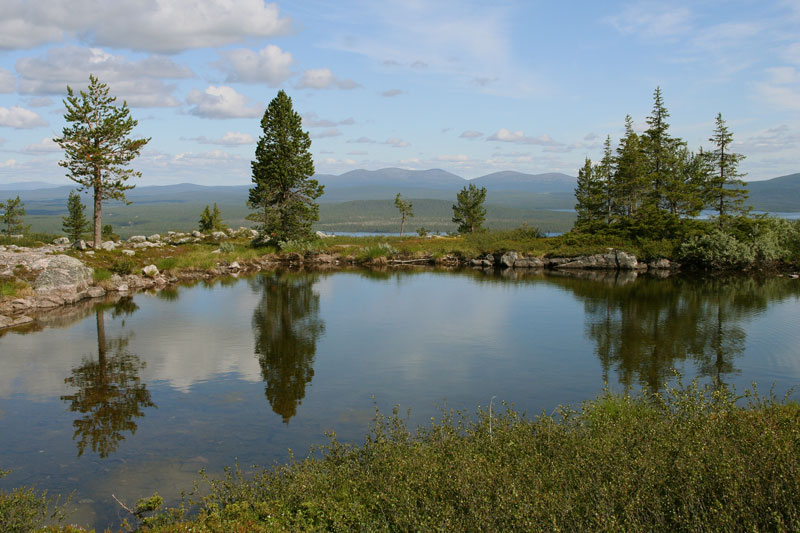S�rkitunturi