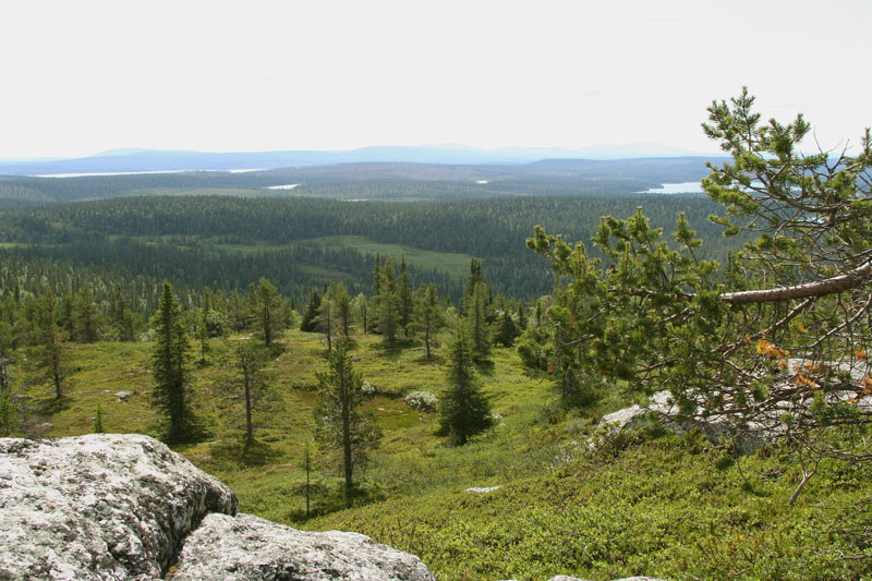 S�rkitunturi