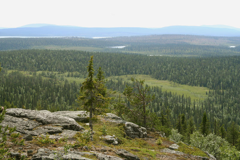 S�rkitunturi