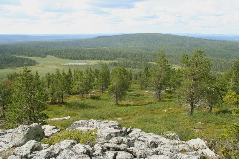 S�rkitunturi