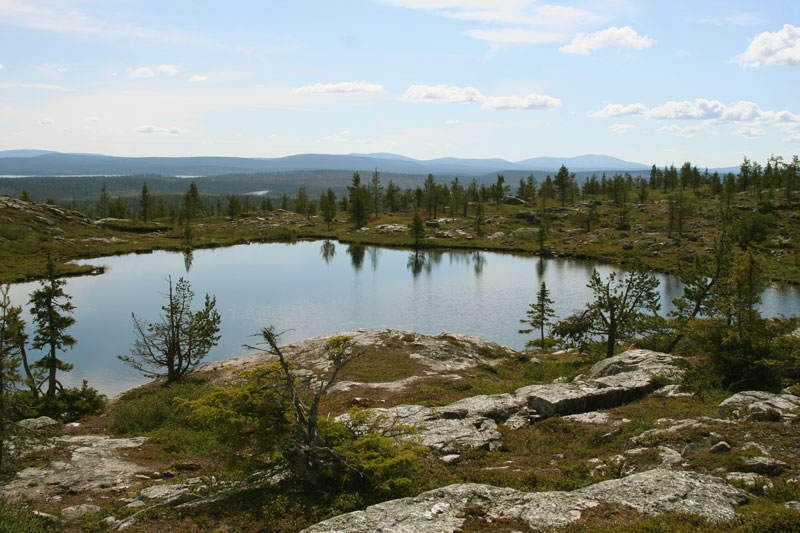 S�rkitunturi