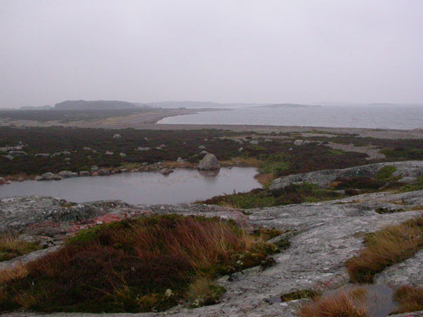 Jurmosta