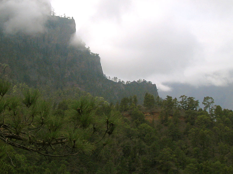La Palma