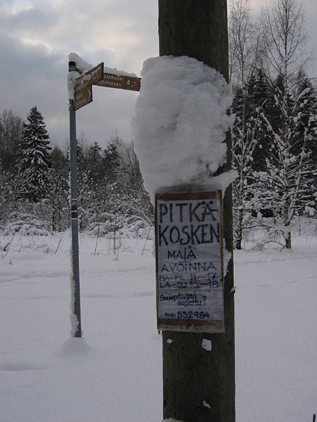 Maisema