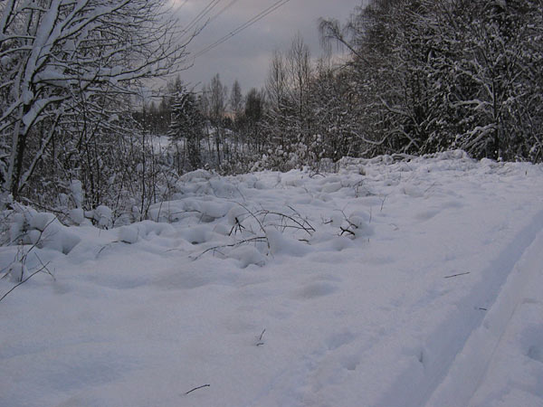 Maisema