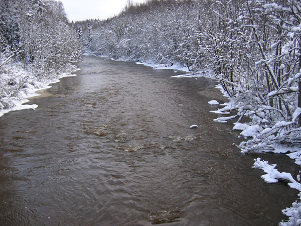 Maisema